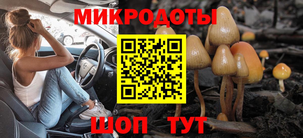 Гусиноозёрск  Галлюциногенные грибы Psilocybine cubensis  Вход с VPN 