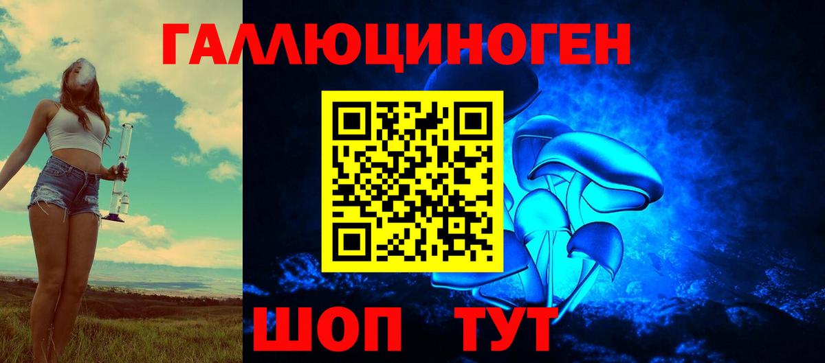 Галлюциногенные грибы мухоморы Гусиноозёрск
